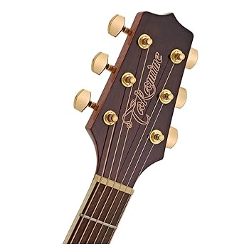 タカミネギター LTD2011 - IKI -｜限定モデルギター｜高峰楽器製作所 - タカミネ